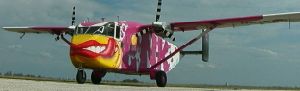 www.pink.at